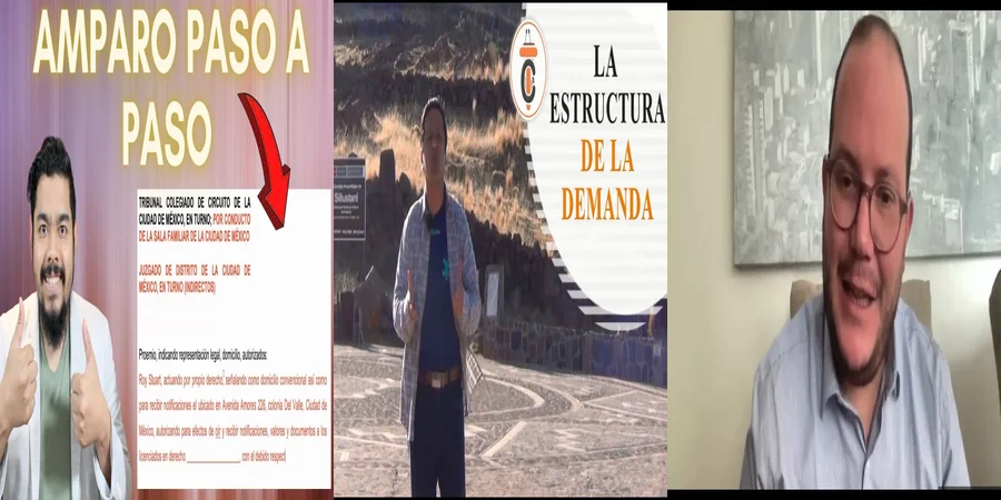 "¿Qué Debes Saber sobre la Demanda Constitucional en México?"