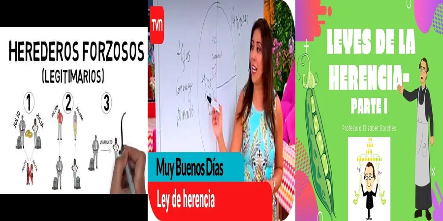 "¿Qué Debes Saber sobre la Legislación de Herencia en México?"