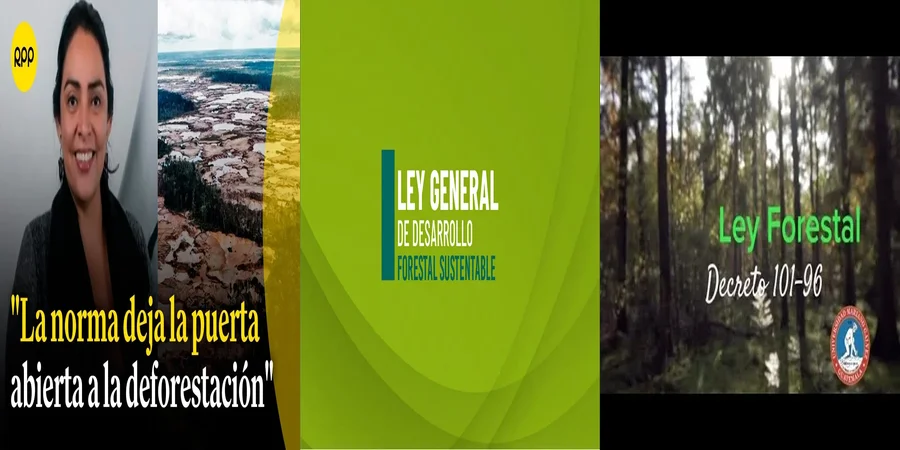 "¿Qué Debes Saber sobre la Ley Forestal en México?"