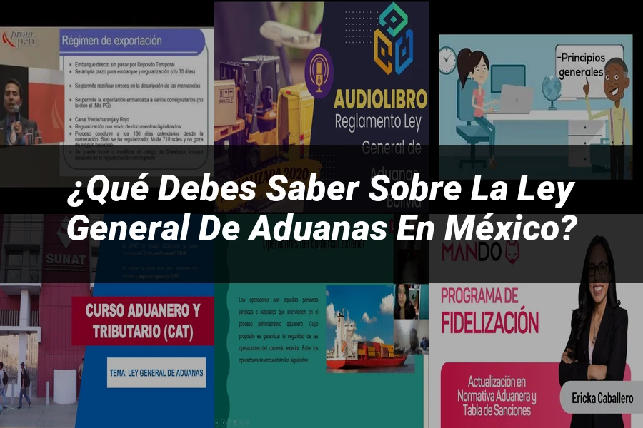 "¿Qué Debes Saber sobre la Ley General de Aduanas en México?"