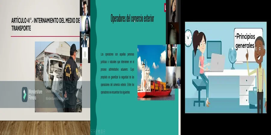 "¿Qué Debes Saber sobre la Ley General de Aduanas en México?"