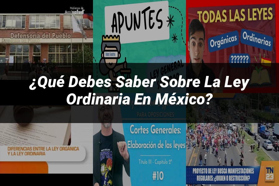 "¿Qué Debes Saber sobre la Ley Ordinaria en México?"