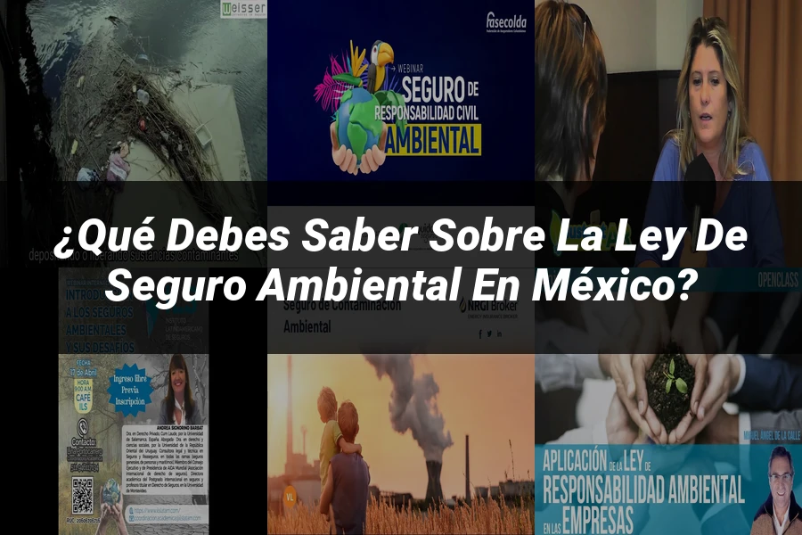 "¿Qué Debes Saber sobre la Ley de Seguro Ambiental en México?"