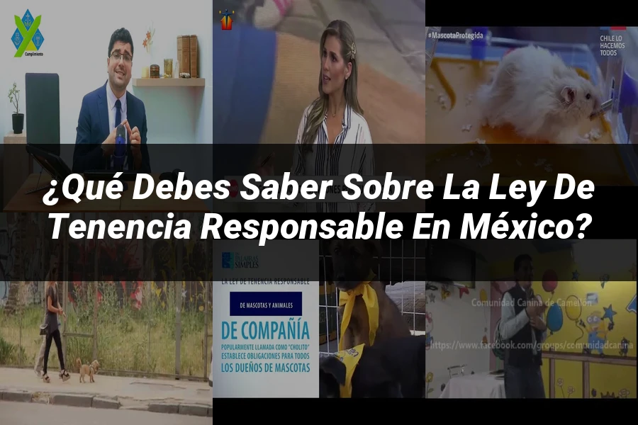 "¿Qué Debes Saber sobre la Ley de Tenencia Responsable en México?"