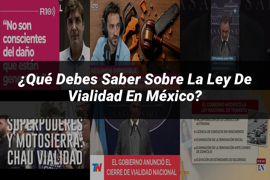 "¿Qué Debes Saber sobre la Ley de Vialidad en México?"