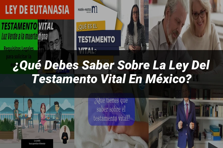 "¿Qué Debes Saber sobre la Ley del Testamento Vital en México?"