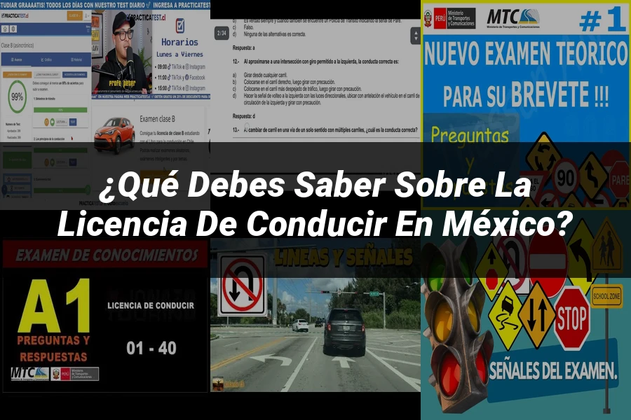 "¿Qué Debes Saber sobre la Licencia de Conducir en México?"