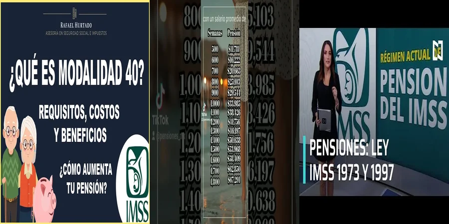 "¿Qué Debes Saber sobre la Pensión IMSS Ley 40 en México?"