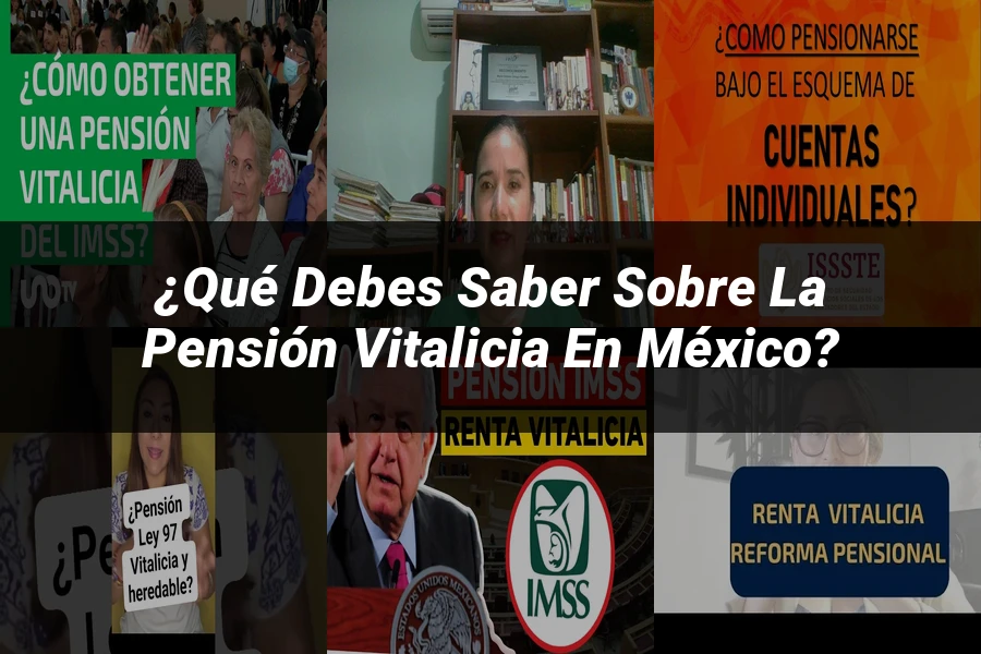 "¿Qué Debes Saber sobre la Pensión Vitalicia en México?"