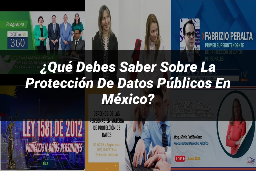 "¿Qué Debes Saber sobre la Protección de Datos Públicos en México?"