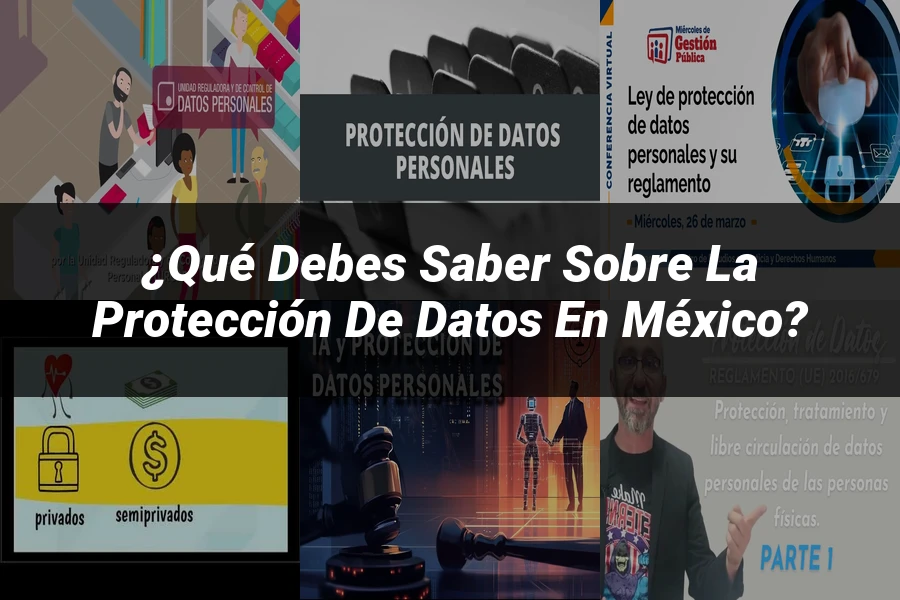 "¿Qué Debes Saber sobre la Protección de Datos en México?"