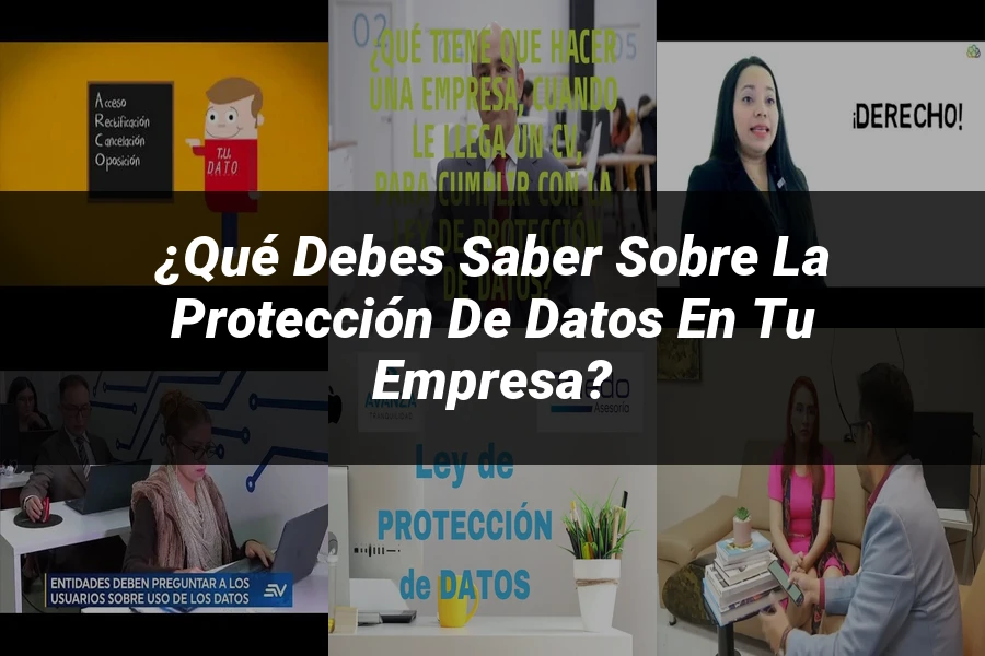 "¿Qué Debes Saber sobre la Protección de Datos en tu Empresa?"