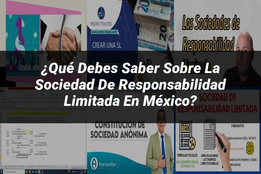 "¿Qué Debes Saber sobre la Sociedad de Responsabilidad Limitada en México?"