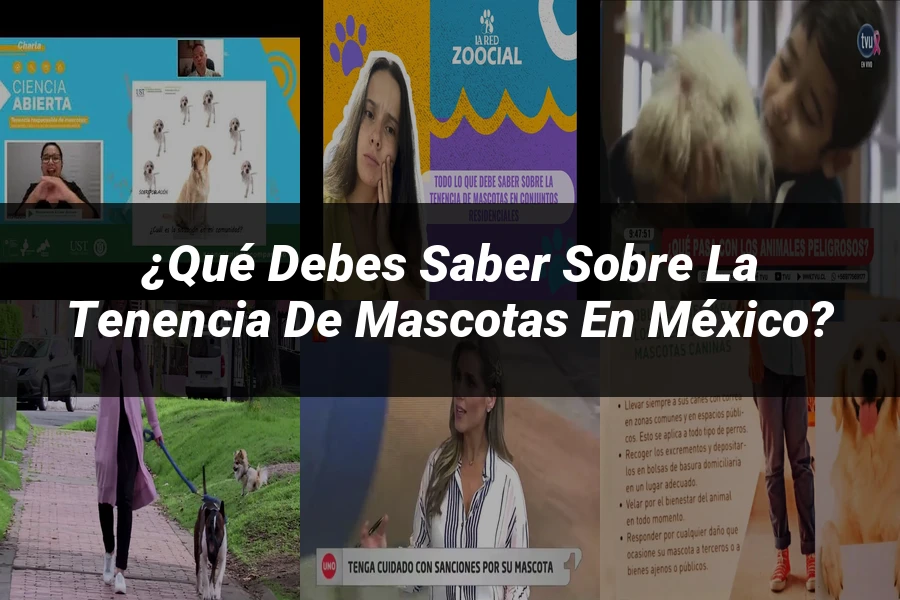 "¿Qué Debes Saber sobre la Tenencia de Mascotas en México?"