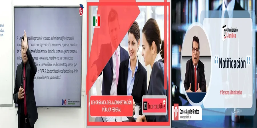 "¿Qué Debes Saber sobre las Leyes Administrativas en México?"
