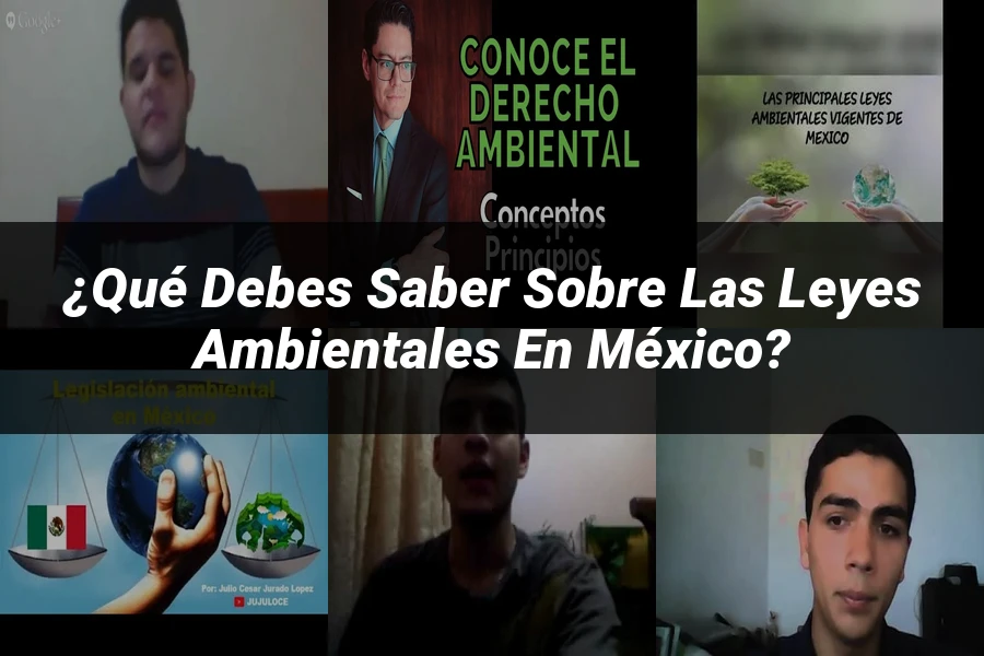 "¿Qué Debes Saber sobre las Leyes Ambientales en México?"