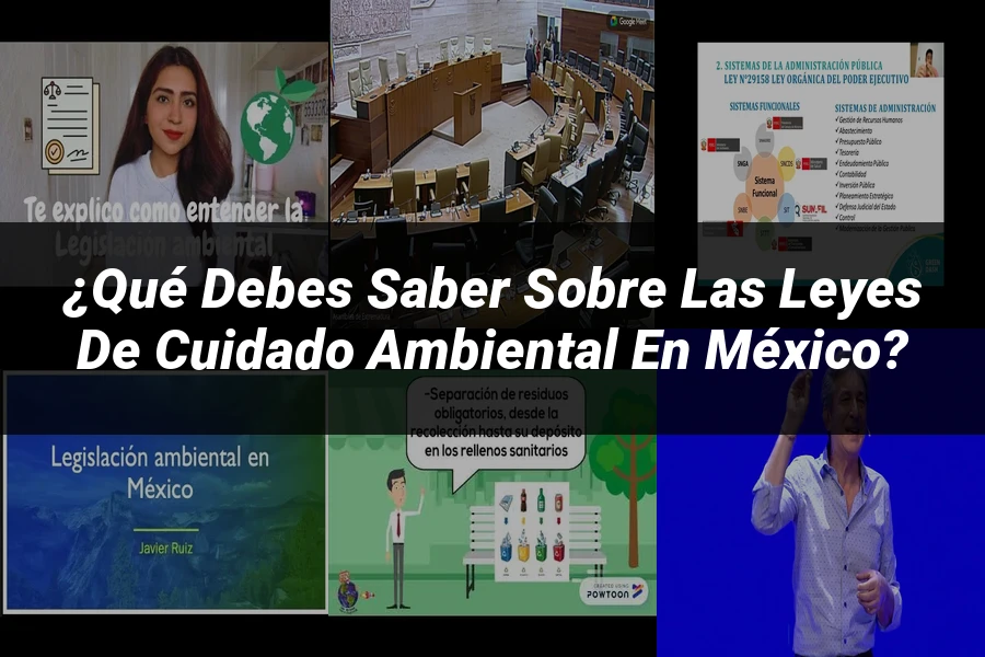 "¿Qué Debes Saber sobre las Leyes de Cuidado Ambiental en México?"