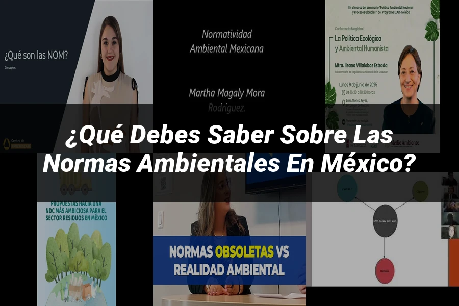 "¿Qué Debes Saber sobre las Normas Ambientales en México?"