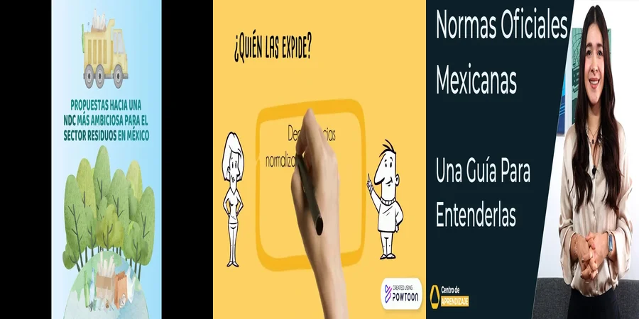 "¿Qué Debes Saber sobre las Normas Ambientales en México?"