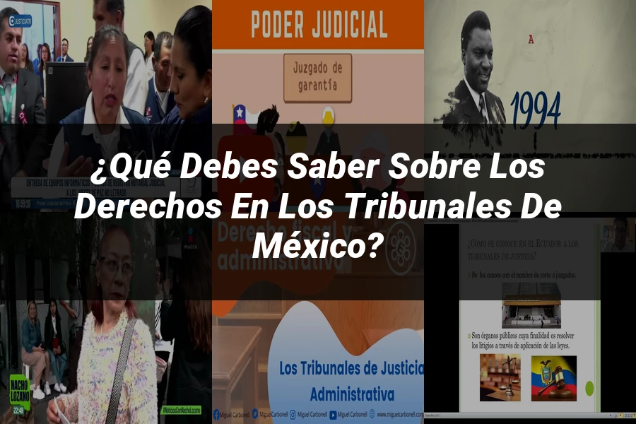 "¿Qué Debes Saber sobre los Derechos en los Tribunales de México?"