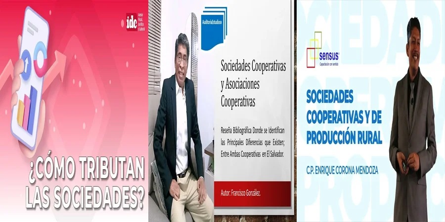 "¿Qué Debes Saber sobre los Estatutos de Cooperativas en México?"