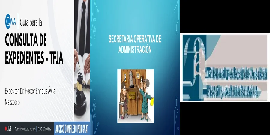 "¿Qué Debes Saber sobre los Expedientes en el Tribunal Fiscal?"