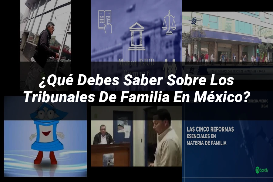 "¿Qué Debes Saber sobre los Tribunales de Familia en México?"