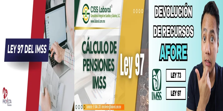 "¿Qué Debes Saber sobre tus Derechos con el IMSS en México?"