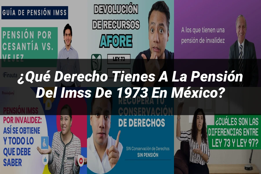 "¿Qué Derecho Tienes a la Pensión del IMSS de 1973 en México?"
