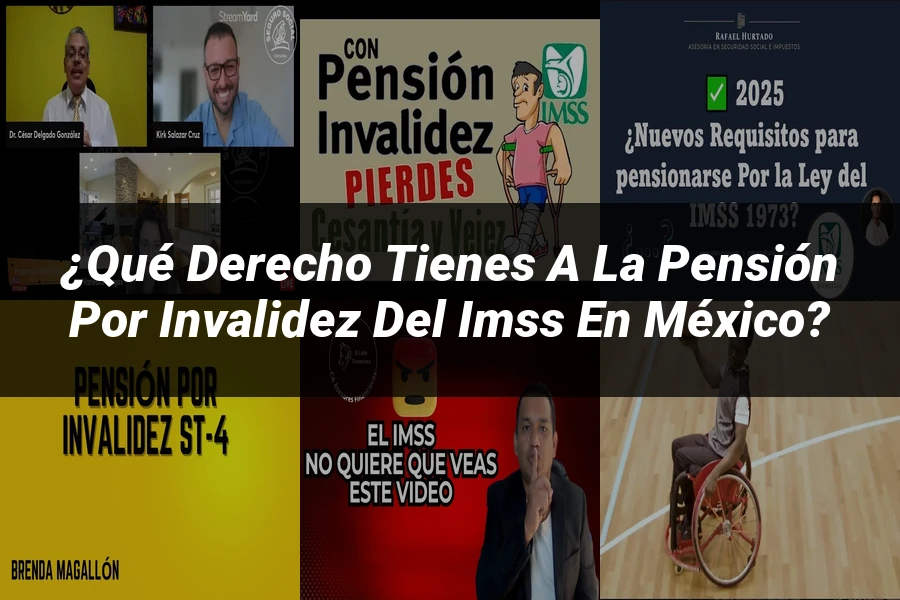 "¿Qué Derecho Tienes a la Pensión por Invalidez del IMSS en México?"