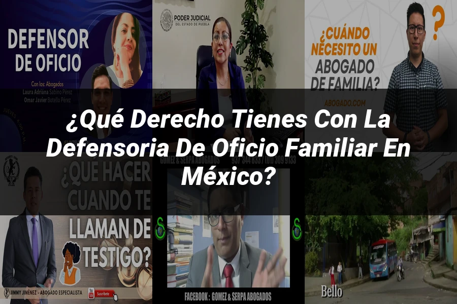 "¿Qué Derecho Tienes con la Defensoria de Oficio Familiar en México?"