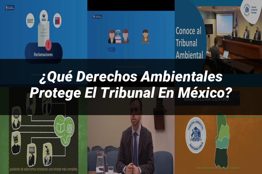 "¿Qué Derechos Ambientales Protege el Tribunal en México?"