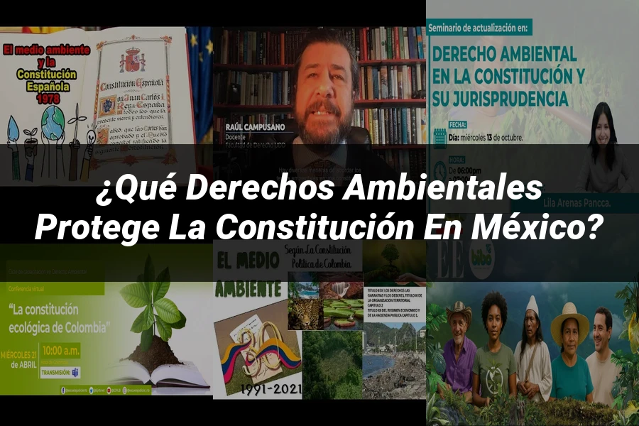 "¿Qué Derechos Ambientales Protege la Constitución en México?"