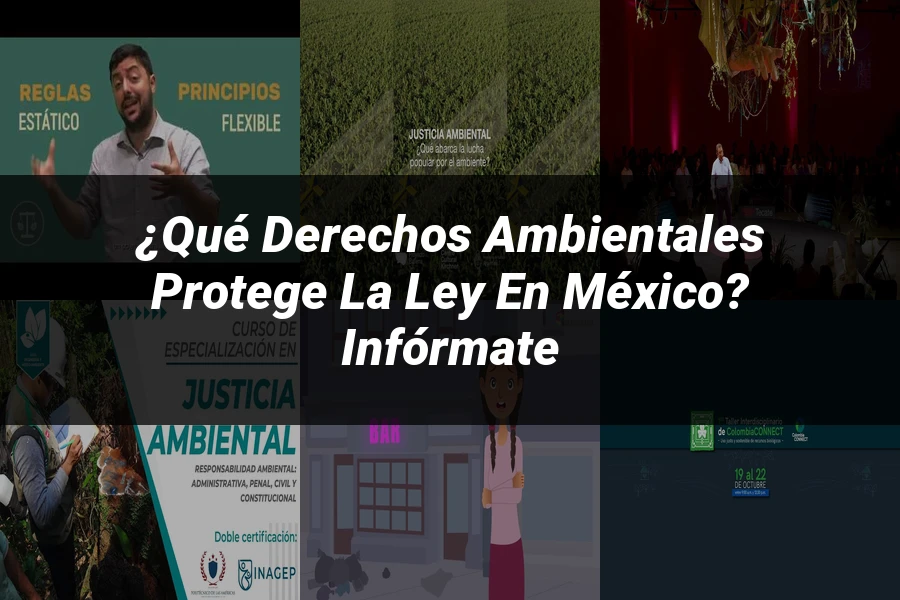 "¿Qué Derechos Ambientales Protege la Ley en México? Infórmate"