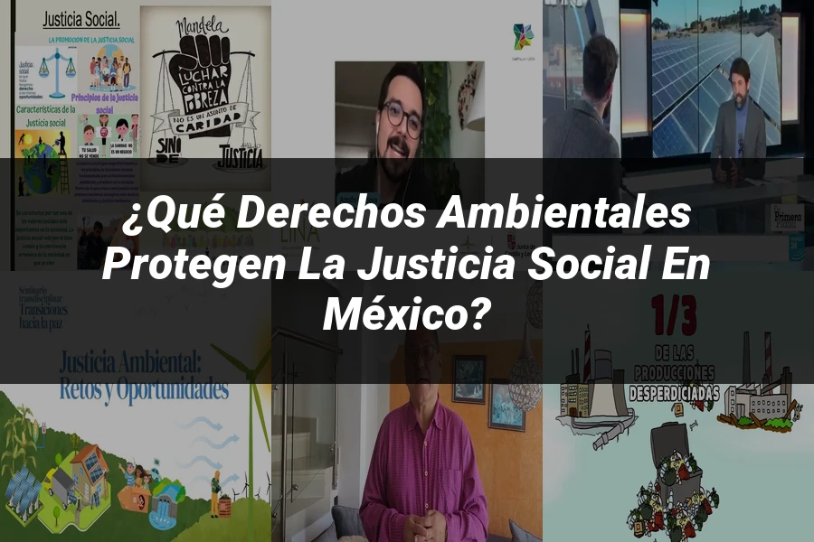 "¿Qué Derechos Ambientales Protegen la Justicia Social en México?"