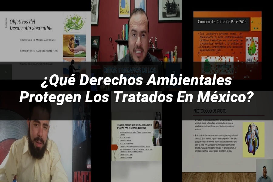 "¿Qué Derechos Ambientales Protegen los Tratados en México?"