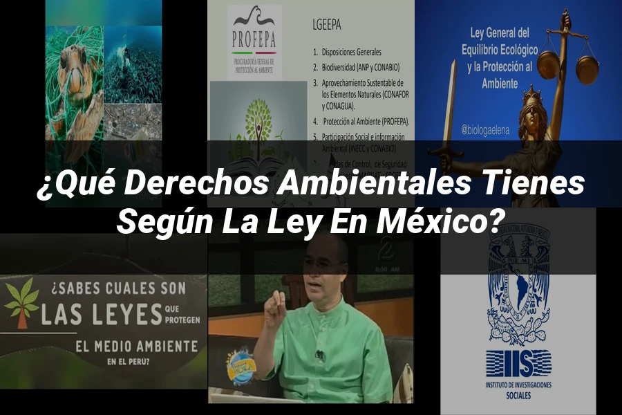 "¿Qué Derechos Ambientales Tienes Según la Ley en México?"