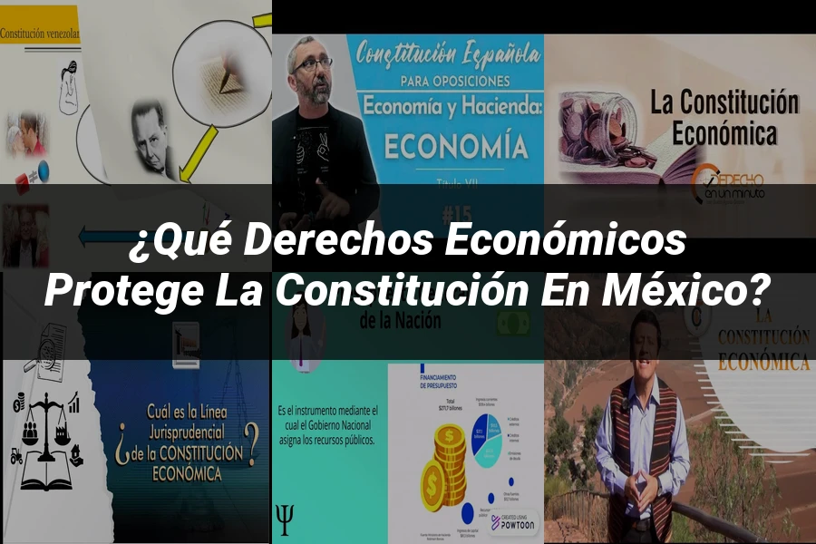 "¿Qué Derechos Económicos Protege la Constitución en México?"