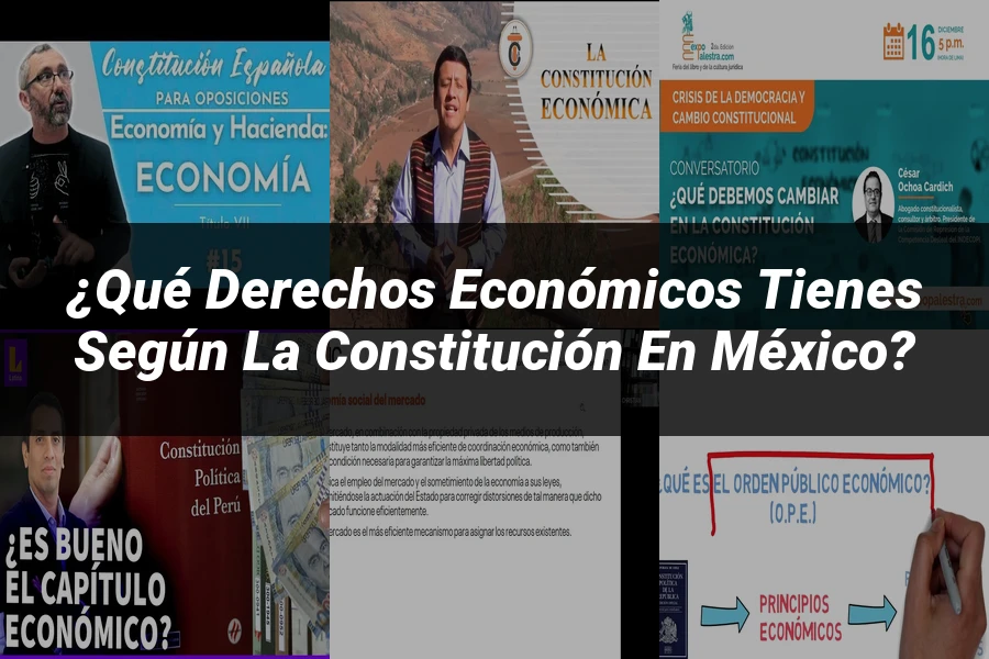 "¿Qué Derechos Económicos Tienes según la Constitución en México?"