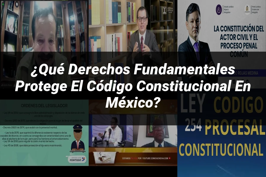 "¿Qué Derechos Fundamentales Protege el Código Constitucional en México?"
