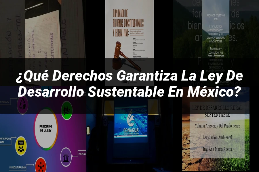 "¿Qué Derechos Garantiza la Ley de Desarrollo Sustentable en México?"