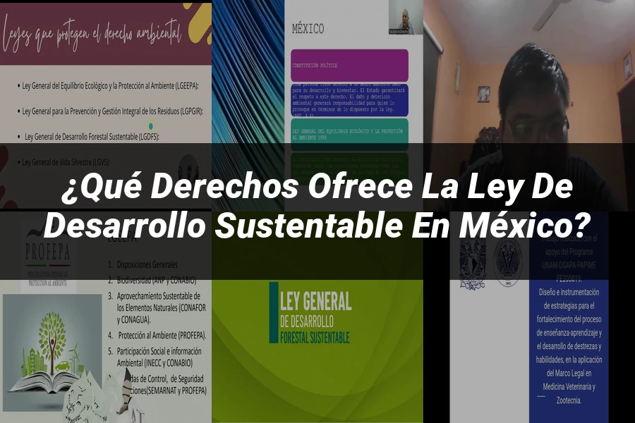 "¿Qué Derechos Ofrece la Ley de Desarrollo Sustentable en México?"