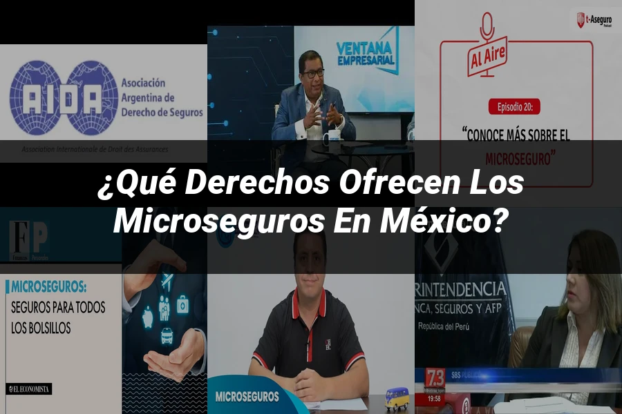"¿Qué Derechos Ofrecen los Microseguros en México?"