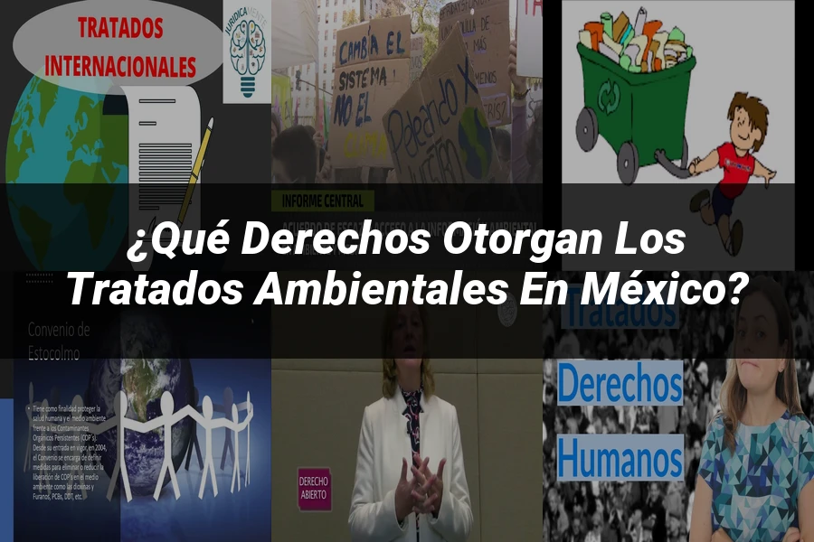 "¿Qué Derechos Otorgan los Tratados Ambientales en México?"