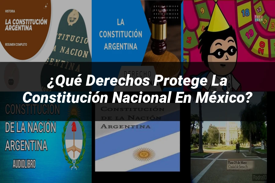 "¿Qué Derechos Protege la Constitución Nacional en México?"