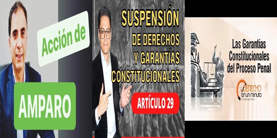 "¿Qué Derechos Protege la Constitución de Garantías en México?"