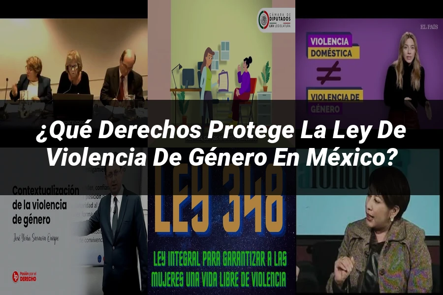 "¿Qué Derechos Protege la Ley de Violencia de Género en México?"