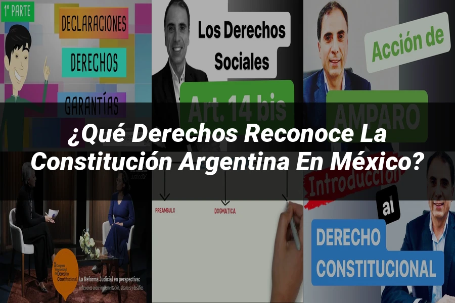 "¿Qué Derechos Reconoce la Constitución Argentina en México?"