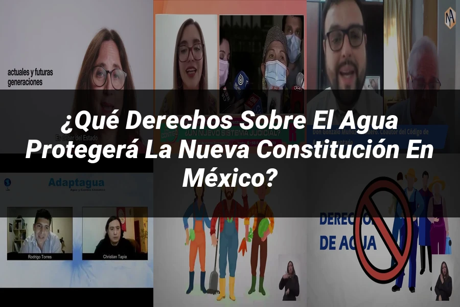 "¿Qué Derechos Sobre el Agua Protegerá la Nueva Constitución en México?"