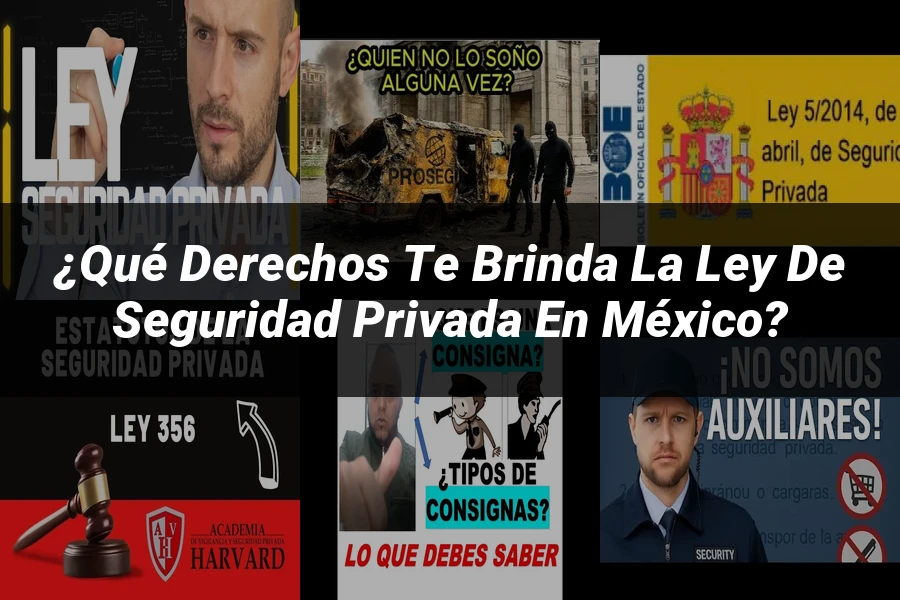 "¿Qué Derechos Te Brinda la Ley de Seguridad Privada en México?"